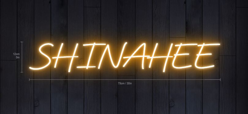 custom neon sign SHINAHEE