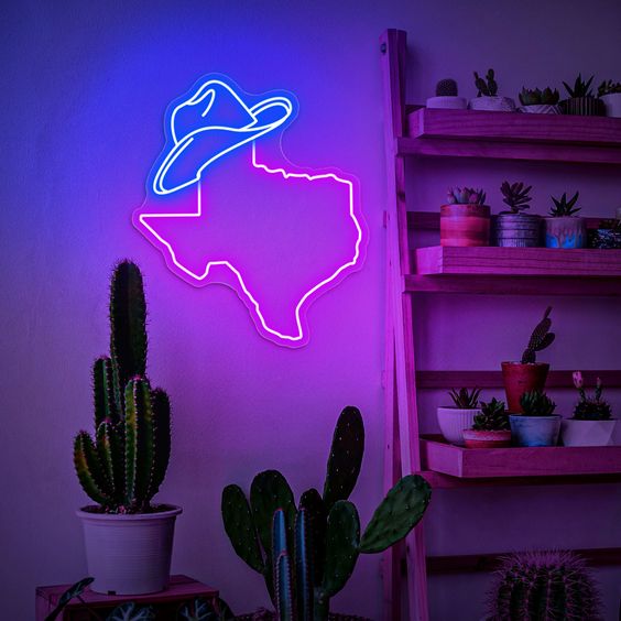 Texas Neon Sign