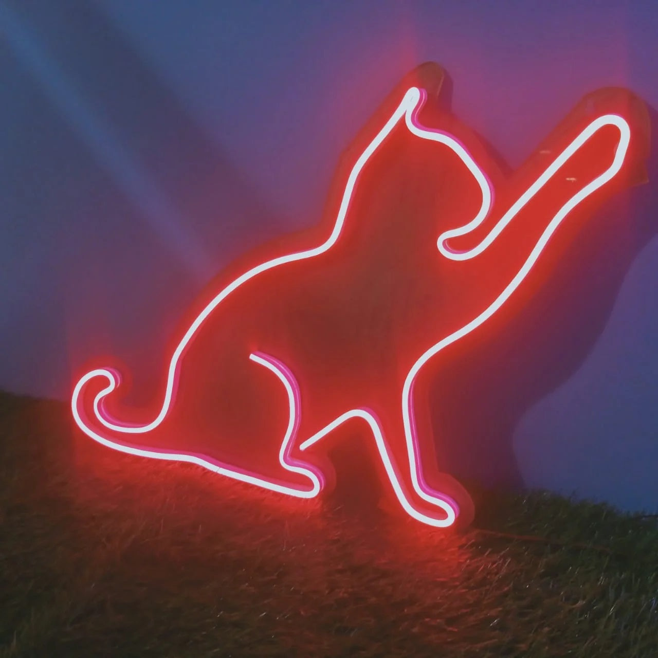 Cat Neon Sign 1